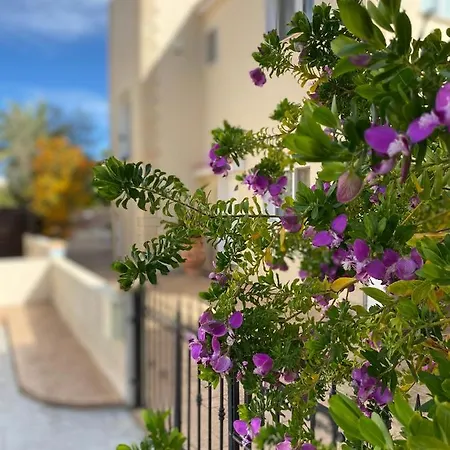 Holiday home 3 Bedroom Alakati Luxury Paralimni